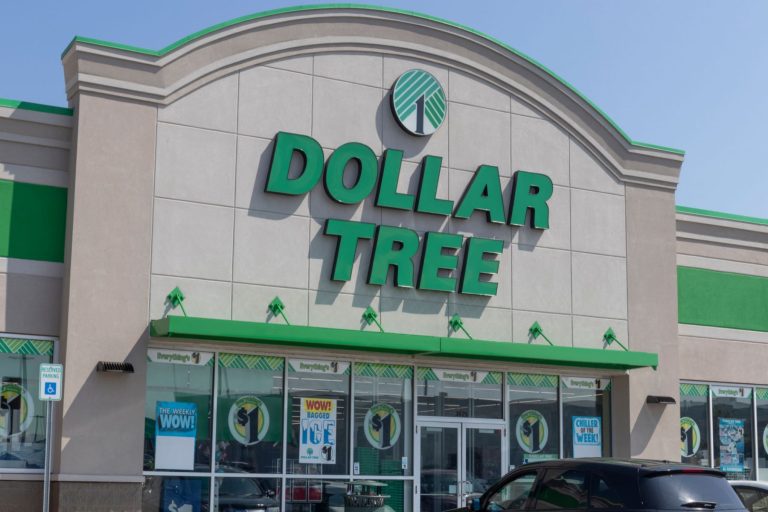 If You Ever Shop At Dollar Tree, Make Sure These Items Are Never In Your Cart