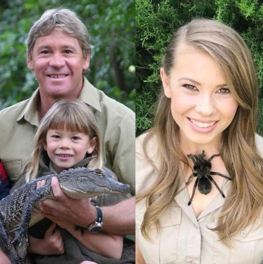 Prayers are requested for Bindi Irwin, Steve Irwin’s daughter..