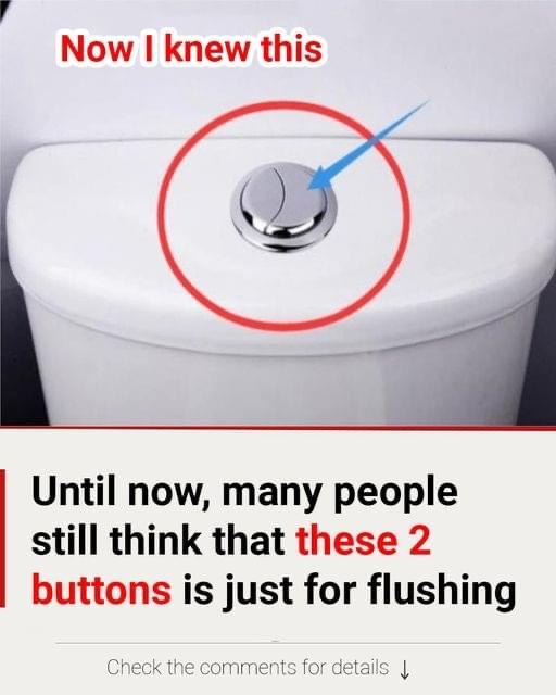 Many people are unaware of the true function of these two toilet buttons.