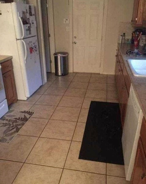 Can You Find the Hidden Dog in This Kitchen? It’s Trickier Than It Looks!