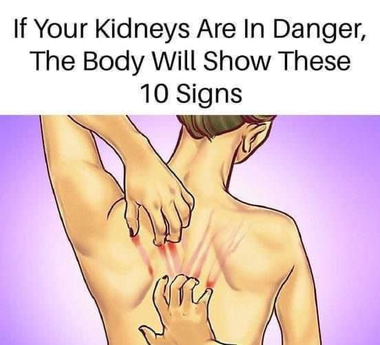 If Your Kidneys Are in Danger…