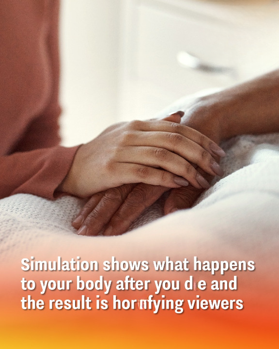 Simulation shows what