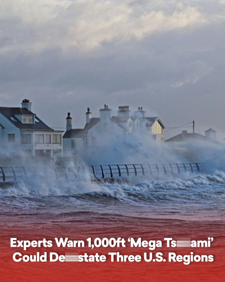 Experts Warn 1,000ft ‘Mega Tsu.ami’