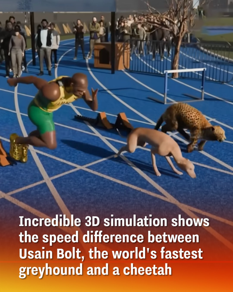 Incredible 3D simulation shows the speed
