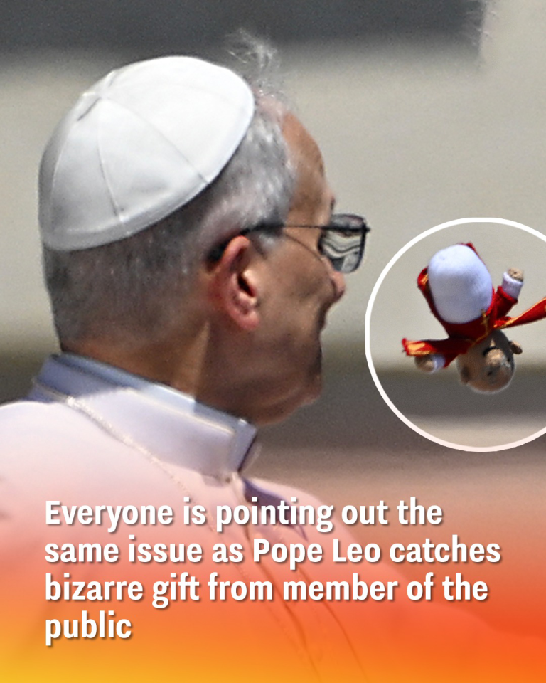 Everyone is pointing out the same issue as Pope Leo