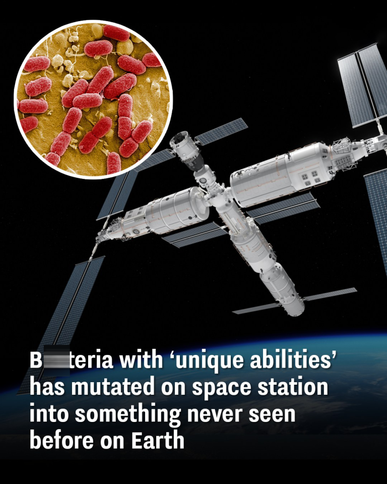 Bac.eria with ‘unique abilities’ has mutated