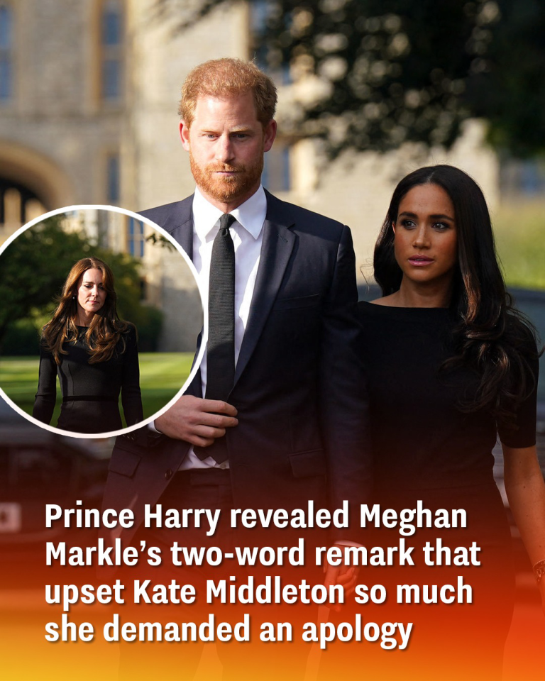 Prince Harry revealed Meghan Markle’s two-word remark
