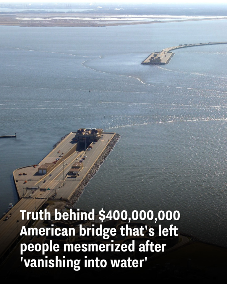 Truth behind $400,000,000 American bridge that