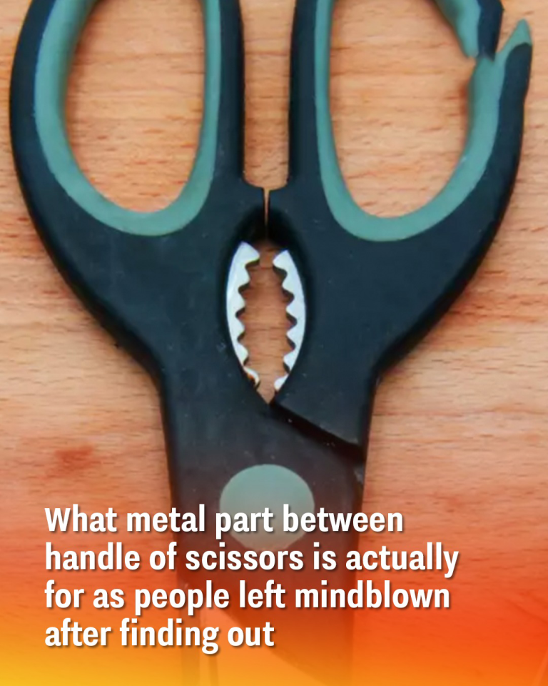 What metal part between handle of scissors is actually