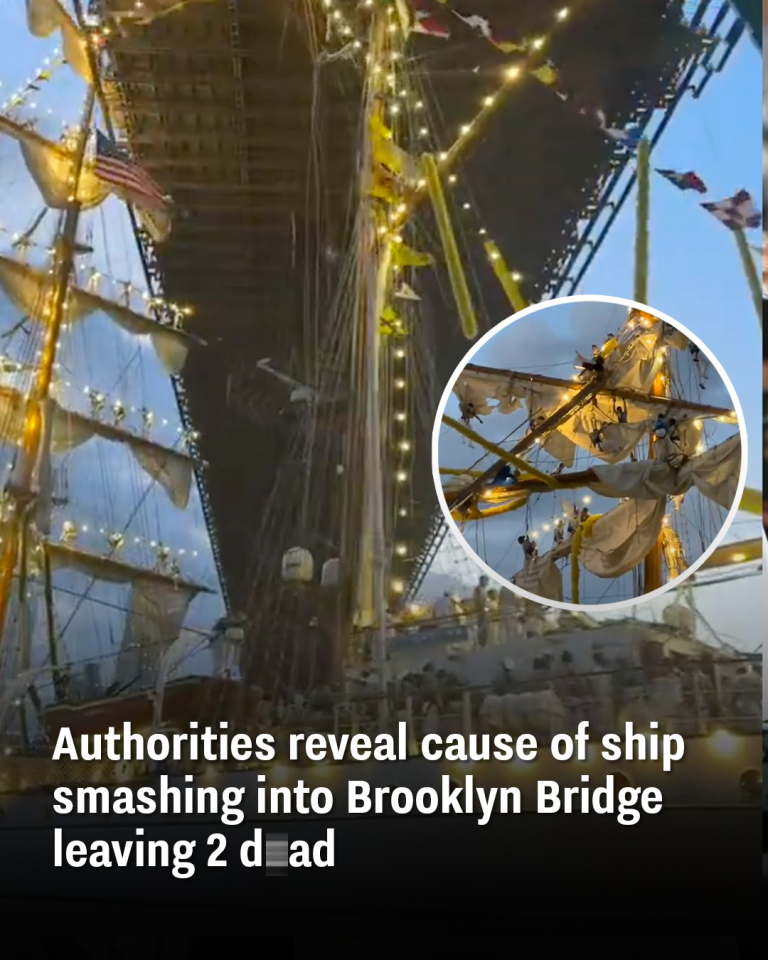 Authorities reveal cause of ship