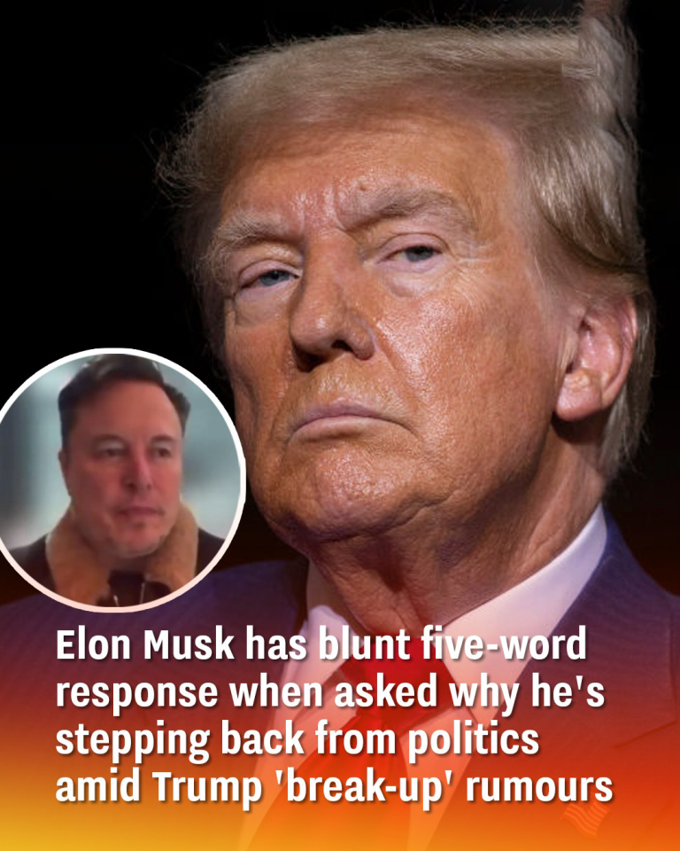 Elon Musk has blunt five-word response when