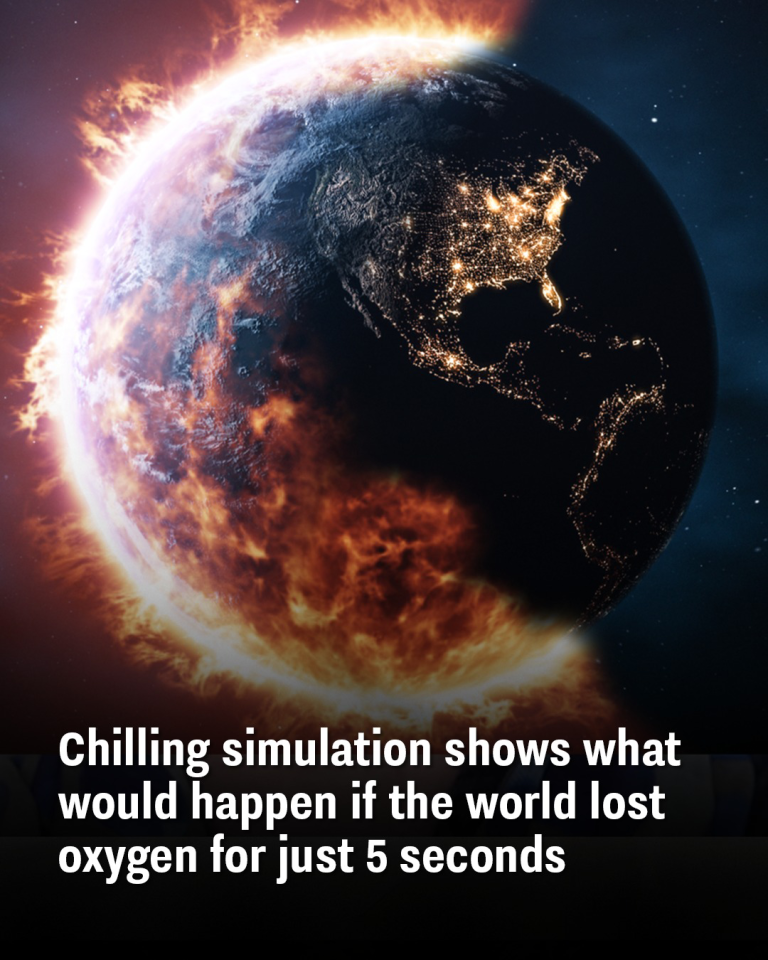 Chilling simulation shows what would happen