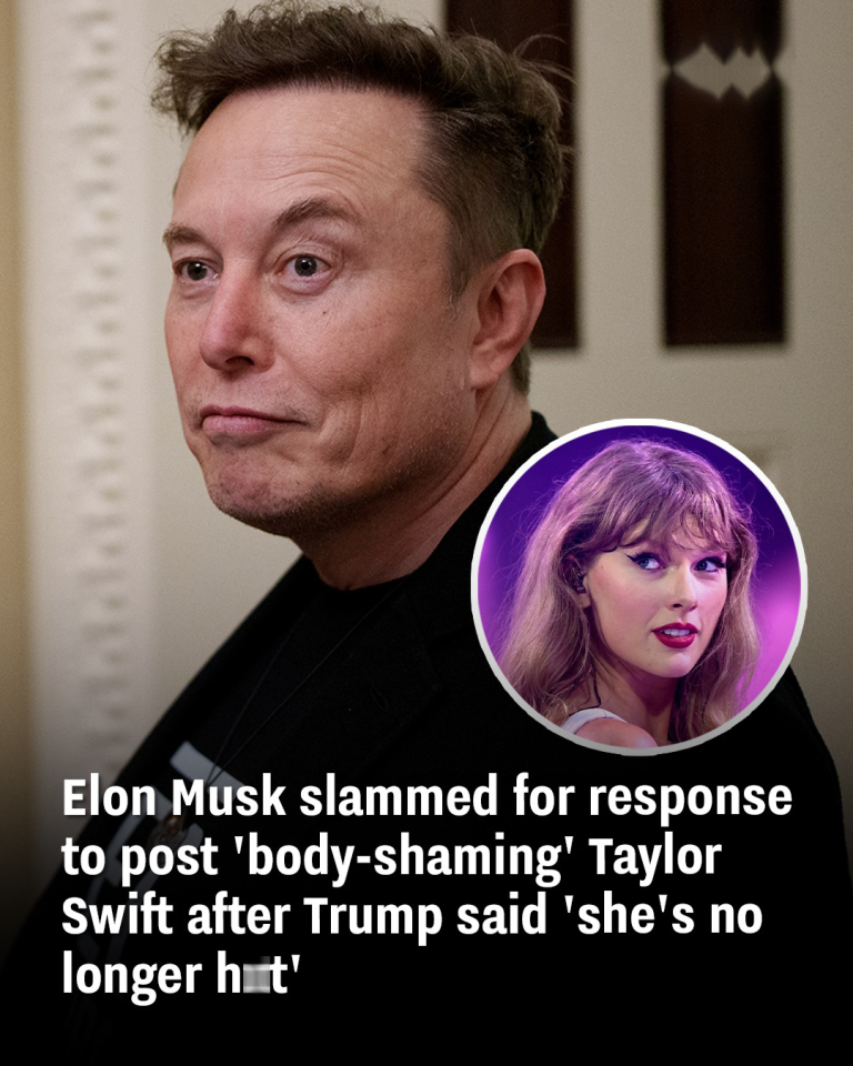Elon Musk slammed for response to post