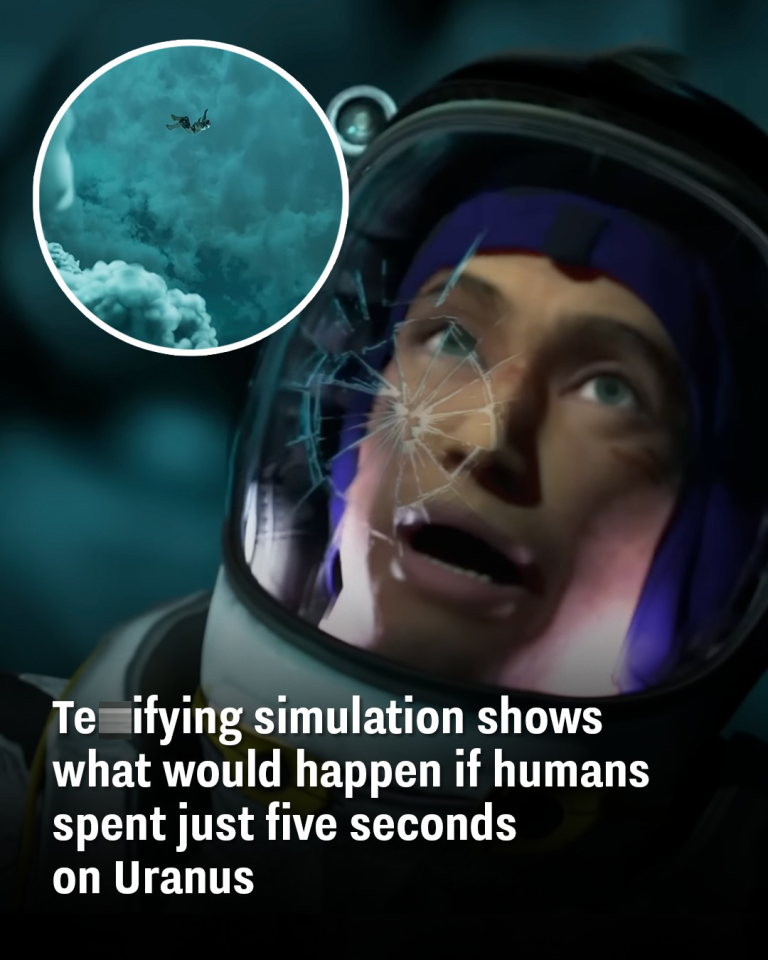 Terri.ying simulation shows what would