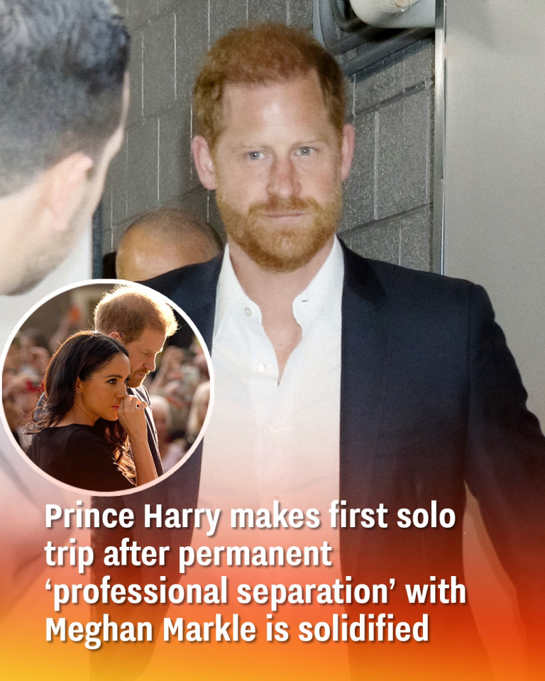Prince Harry makes first solo trip after permanent