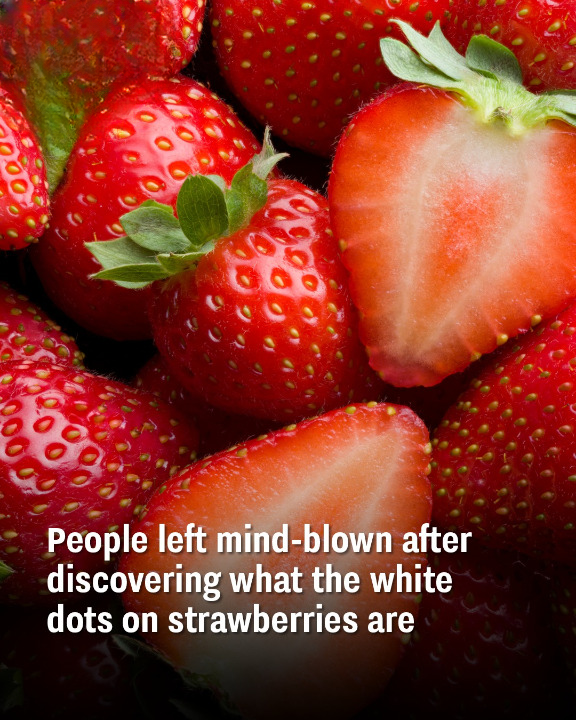 People left mind-blown after discovering