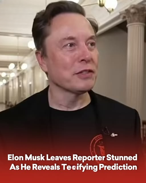 Elon Musk Leaves Reporter Stunned