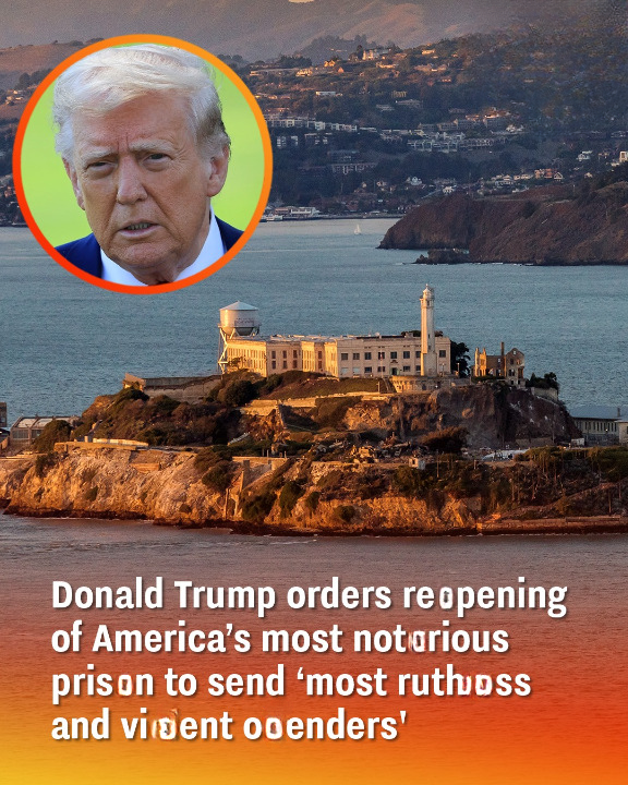 Donald Trump orders reopening of America
