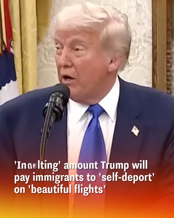 ‘Ins.lting’ amount Trump will pay