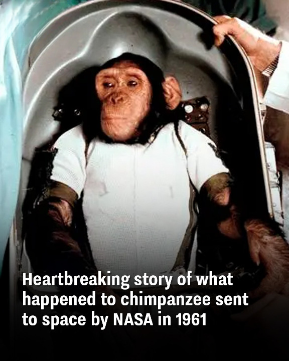 Heartbreaking story of what happened