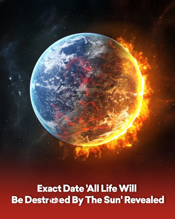 Exact Date ‘All Life Will