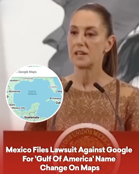 Mexico Files Lawsuit Against