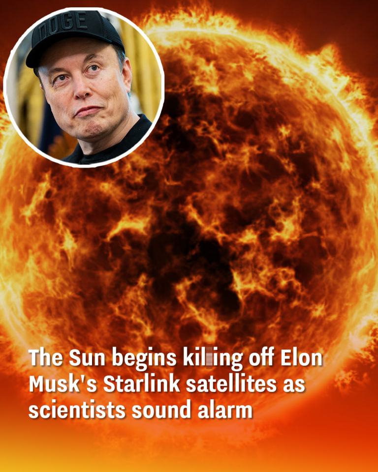 The Sun begins kil.ing off Elon Musk’s Starlink