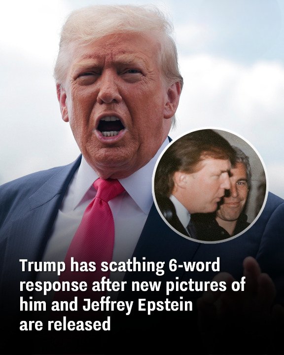 Trump has scathing 6-word response after new pictures of him and Jeffrey Epstein are released