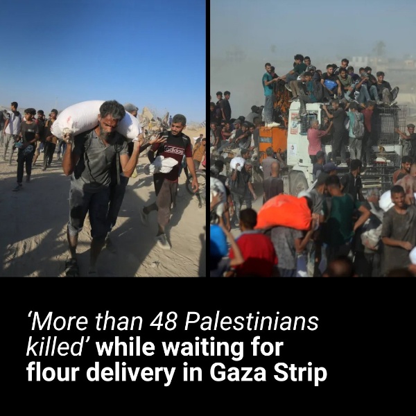 48 Palestinians kil.led’