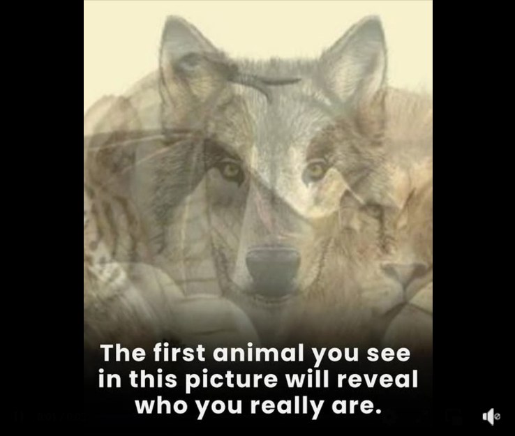 The first animal you see in this picture will reveal who you are 👇 👇