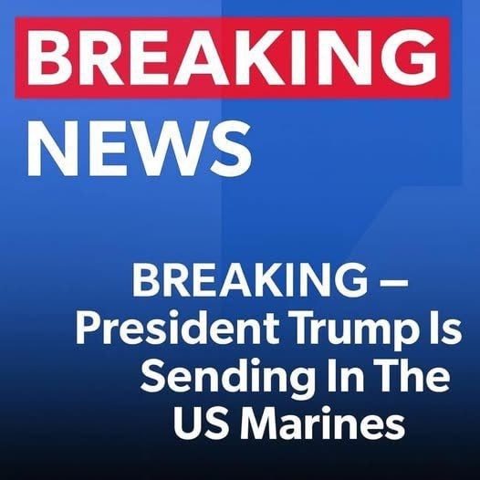 Deployment Sparks Controversy: 200 U.S. Marines Sent to Support ICE in Florida