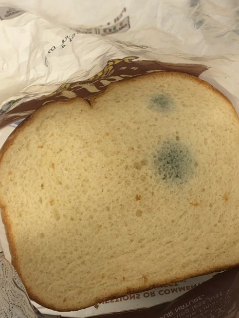 Stale Bread: When It’s Safe to Eat and When to Toss It