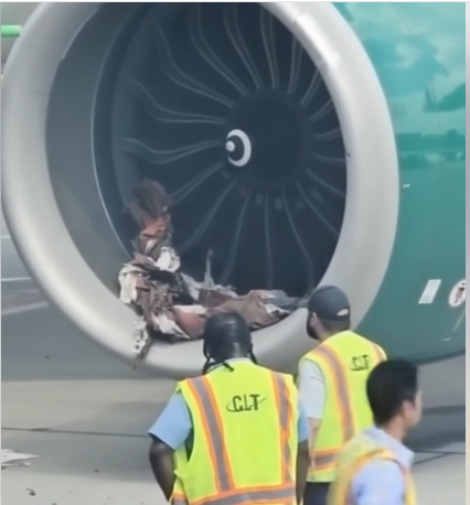 HORROR ON THE TARMAC