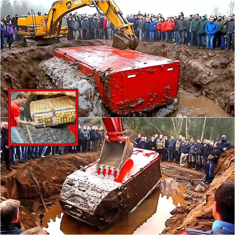 THEY FOUND IT