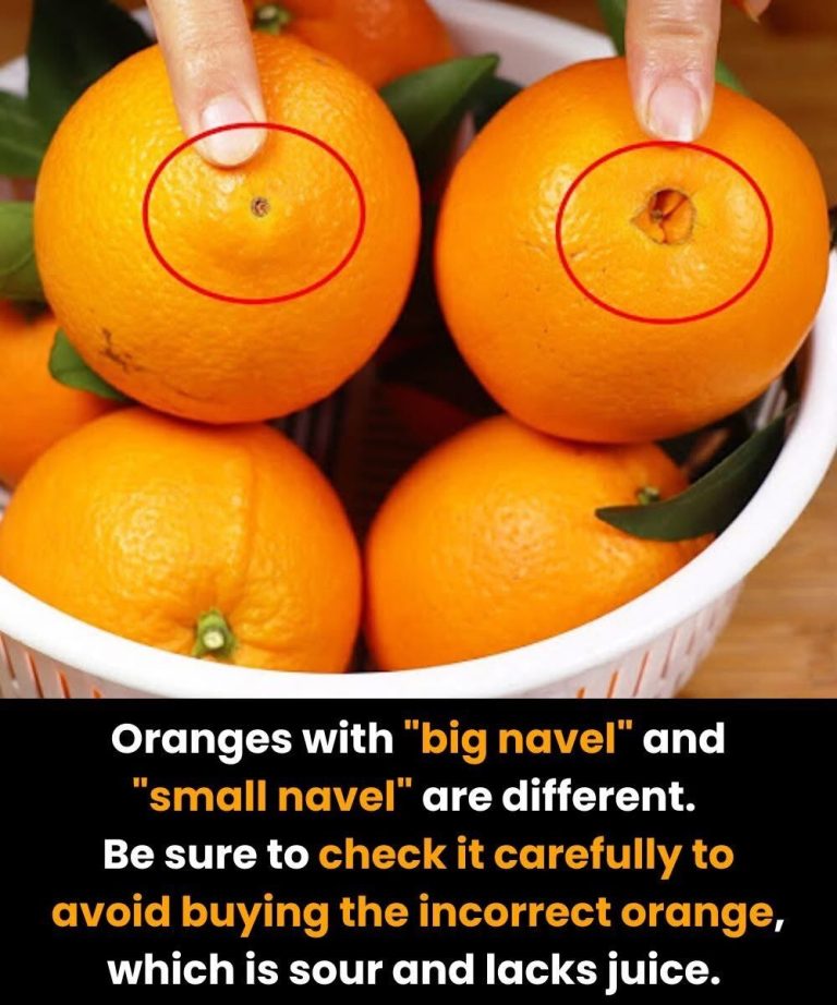 Large vs. Small Navel Oranges: Which Is Better for Olders Over 50?