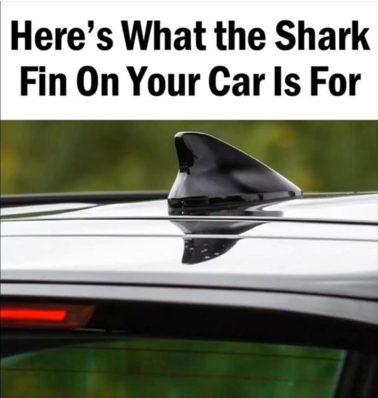 Why Your Car Has a Shark Fin Antenna — and What It Really Does