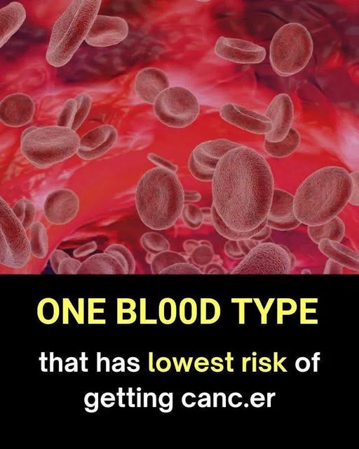 If you have a certain blood type, you’re MORE likely to develop cancer, research suggests