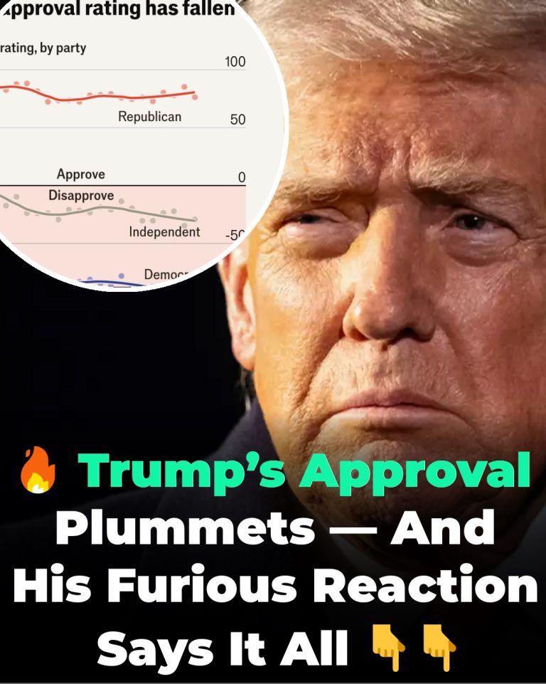 Trump Issues Scathing Response After