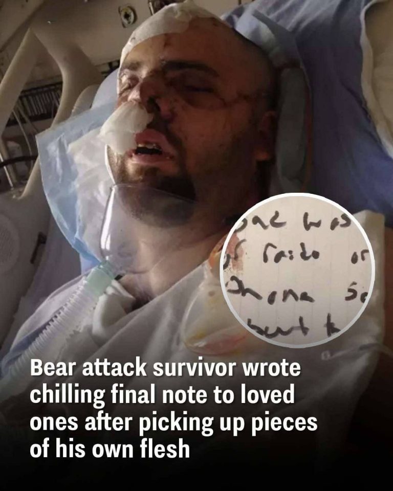 Bear attack survivor wrote chilling final note to loved ones after picking up pieces of his own flesh