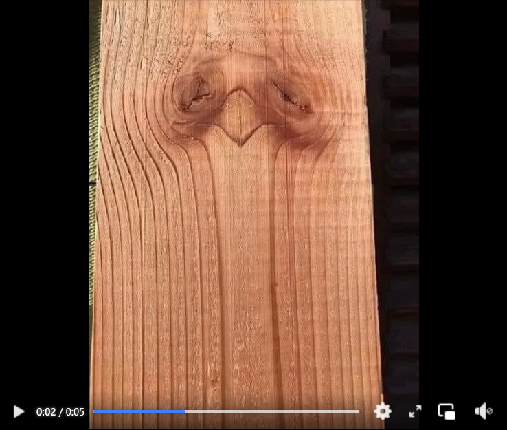 Tell Me What You See And I’ll Reveal Your Hidden Personality.