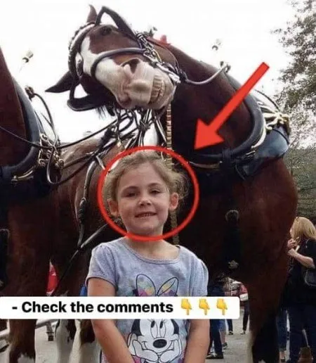 In front of a horse, the father takes a photo of his daughter