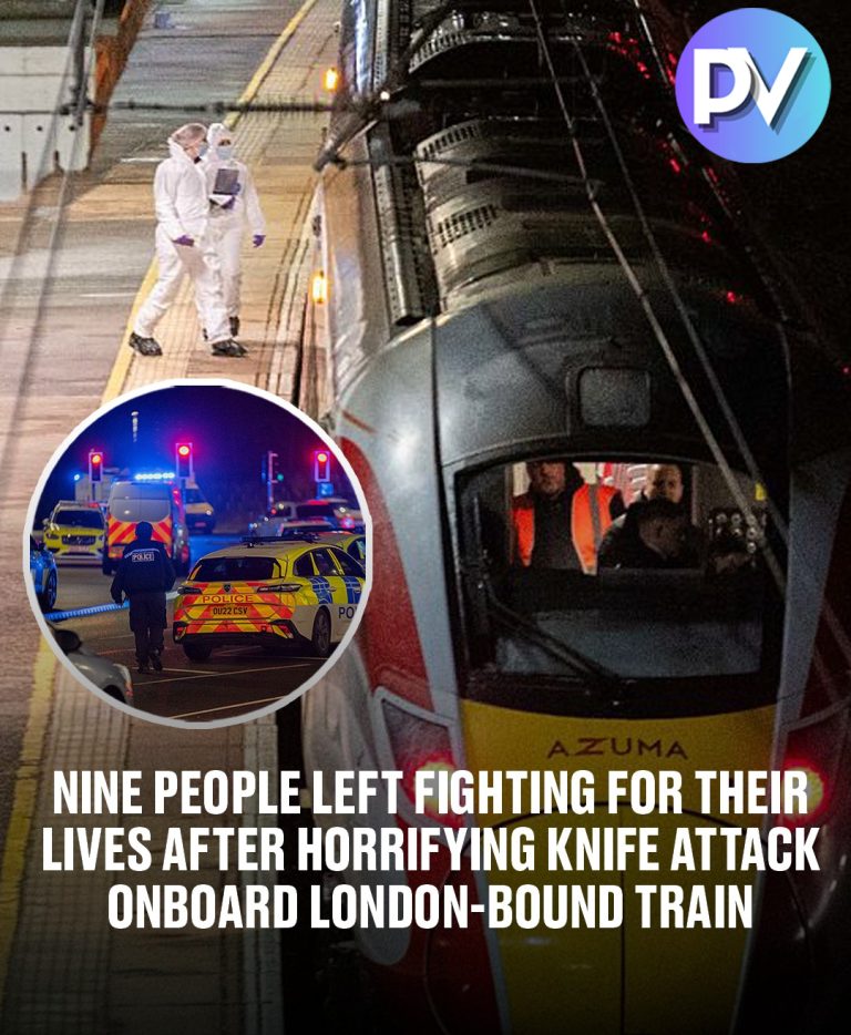 Nine people left fighting for their lives after horrifying knife attack onboard London-bound train