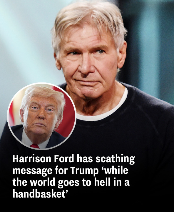 Harrison Ford has scathing message for Trump ‘while the world goes to hell in a handbasket’
