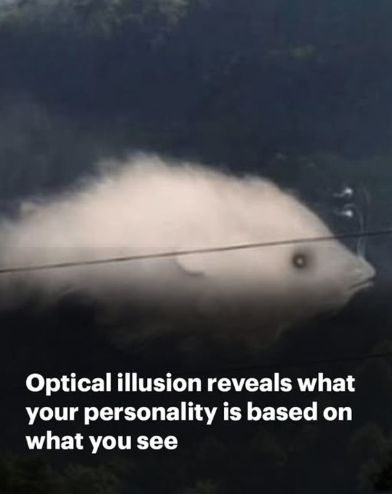 Optical illusion can reveal your hidden personality traits – so what do you see first?