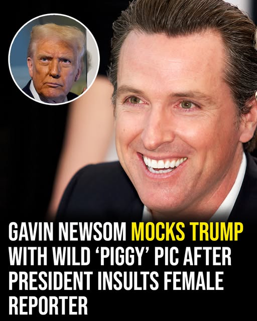 Gavin Newsom mocks Trump with wild ‘piggy’ pic after president insults reporter