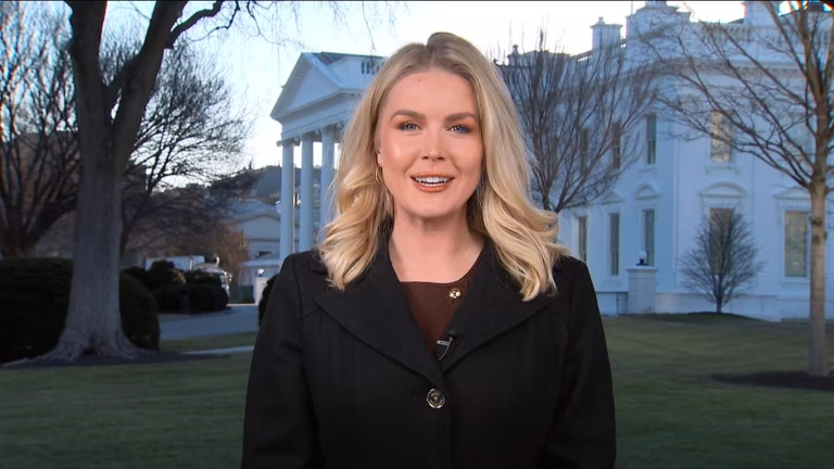 Alleged Crime Committed By White House Press Secretary Karoline Leavitt’s Relative As She’s Detained By Ice