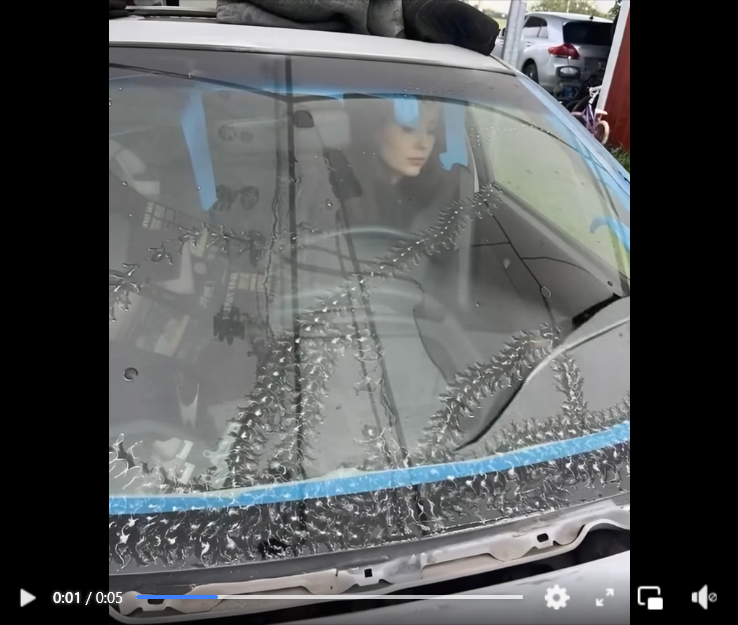 Mystery Marks on My Car: The Unexpected Surprise Nature Left Behind