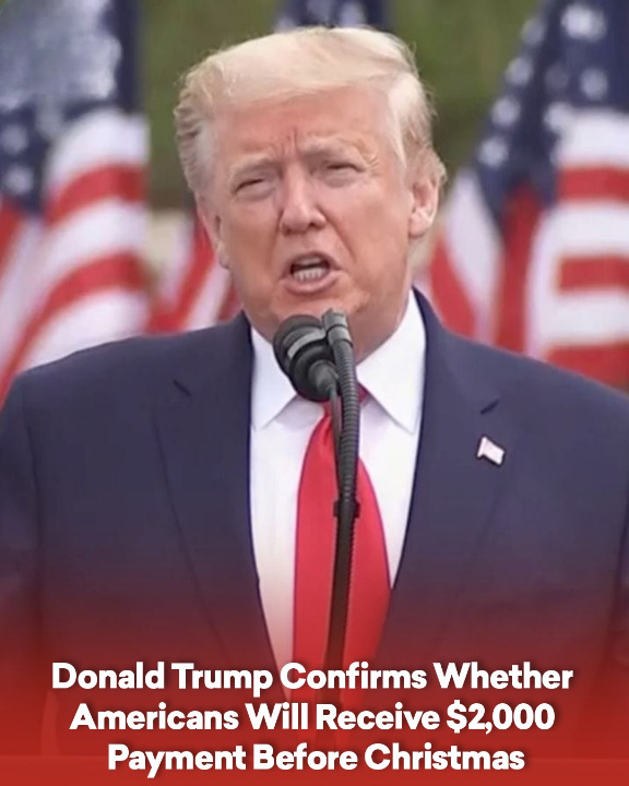 Donald Trump Confirms Whether Americans Will Receive $2,000 Payment Before Christmas