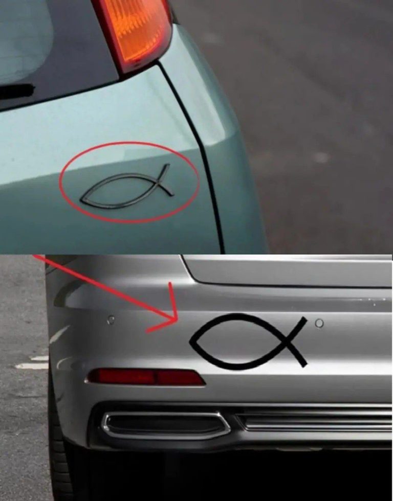 What does the small fish-shaped symbol on the back of some cars mean and what is it for?