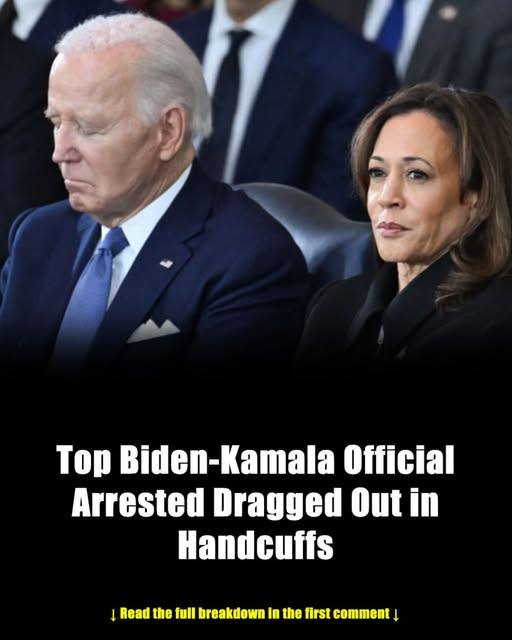 Stolen Power Inside Washington